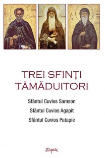 Trei sfinti tamaduitori: Sfantul Samson, Sfantul Agapit, Sfantul Patapie - Carti.Crestinortodox.ro