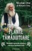 Plante tamaduitoare. Remedii naturale pentru cele mai intalnite boli
